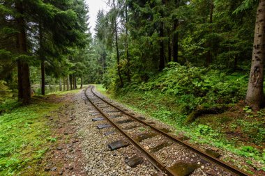 ormandaki ıslak yaz gün dalgalı demiryolu parça