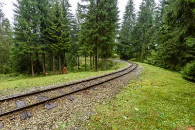 ormandaki ıslak yaz gün dalgalı demiryolu parça