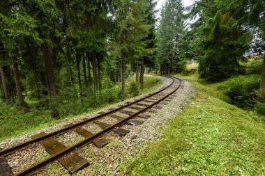 ormandaki ıslak yaz gün dalgalı demiryolu parça