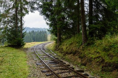 ormandaki ıslak yaz gün dalgalı demiryolu parça