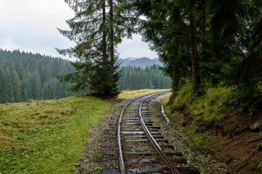ormandaki ıslak yaz gün dalgalı demiryolu parça