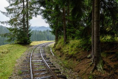 ormandaki ıslak yaz gün dalgalı demiryolu parça