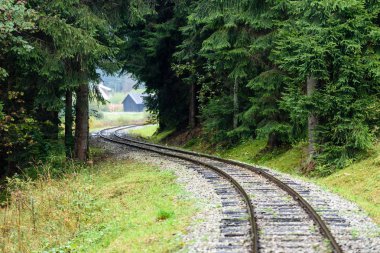 ormandaki ıslak yaz gün dalgalı demiryolu parça
