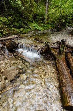 Yaz aylarında nehir dağ. slovensky raj. Sanki bela iz