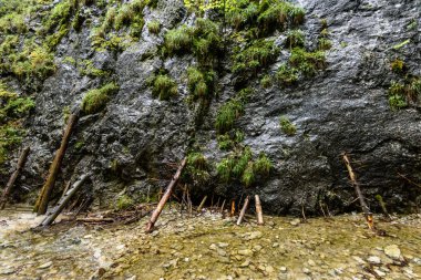 Yaz aylarında nehir dağ. slovensky raj. Sanki bela iz