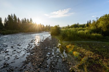 Yaz aylarında nehir dağ. Bialka Nehri, Polonya