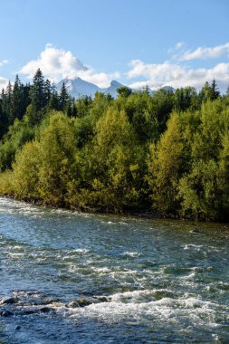 Yaz aylarında nehir dağ. Bialka Nehri, Polonya