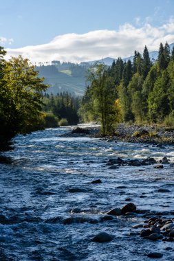 Yaz aylarında nehir dağ. Bialka Nehri, Polonya