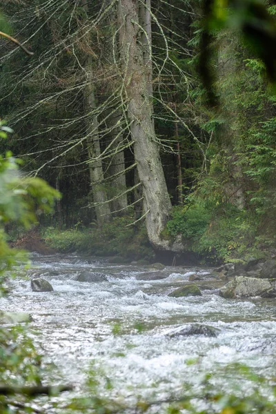 Fiume di montagna in estate — Foto Stock