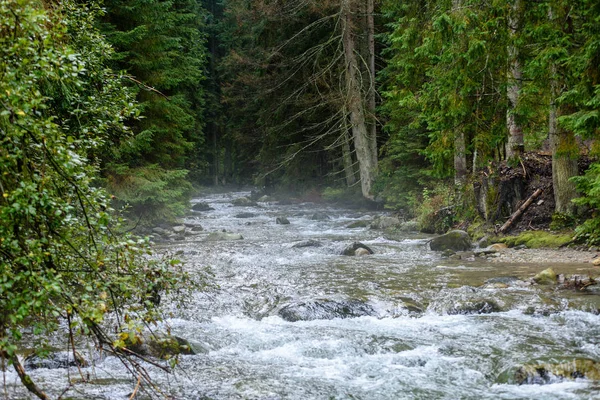 Fiume di montagna in estate — Foto Stock