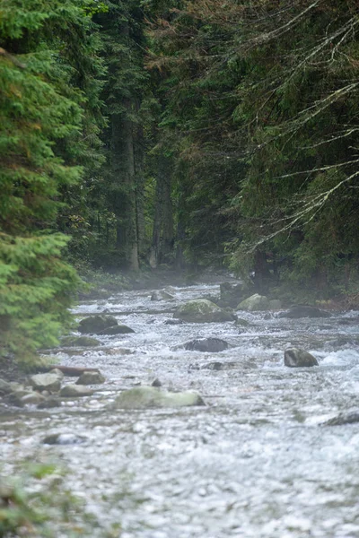 Gebirgsfluss im Sommer — Stockfoto