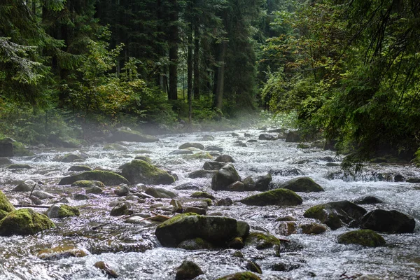 Mountain river in summer — Stock Photo, Image