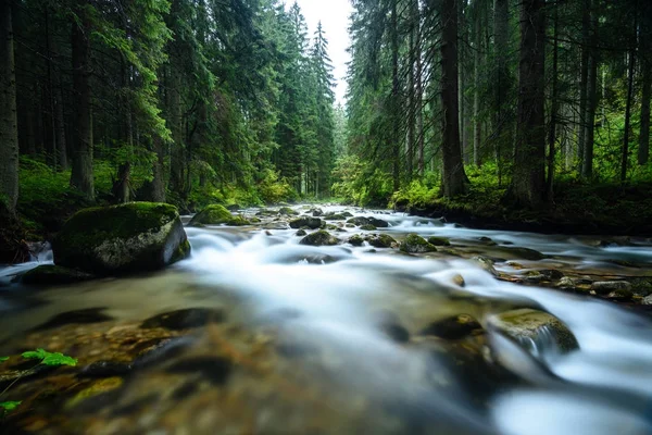 Fiume di montagna in estate — Foto Stock