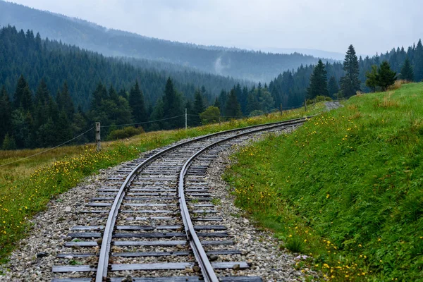 Wavy railroad tracks in wet summer day in forest — Stock Photo, Image