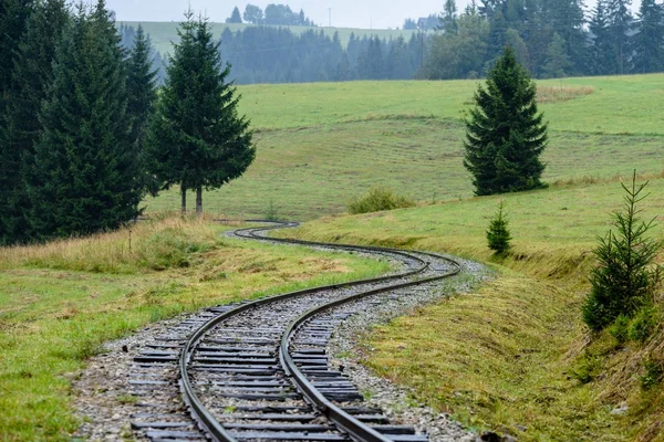 Zvlněná železniční tratě v mokré letní den v lese — Stock fotografie