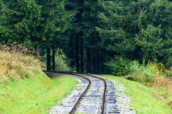 Zvlněná železniční tratě v mokré letní den v lese — Stock fotografie