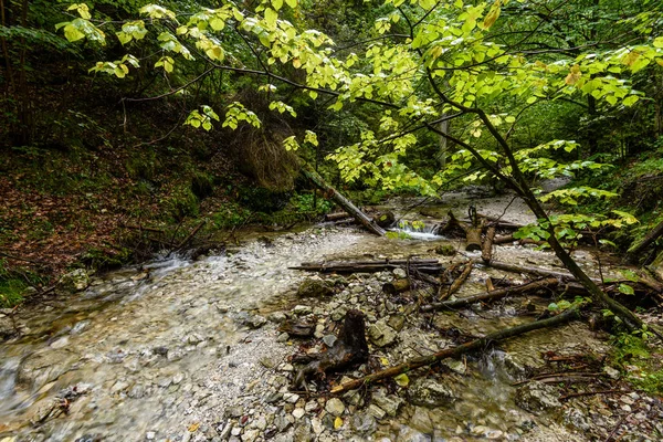 Yaz aylarında nehir dağ. slovensky raj. Sanki bela iz — Stok fotoğraf