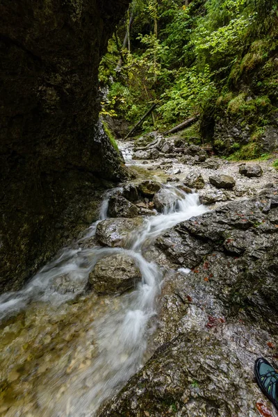 Horská řeka v létě. slovensky raj. suchá bela stezka — Stock fotografie