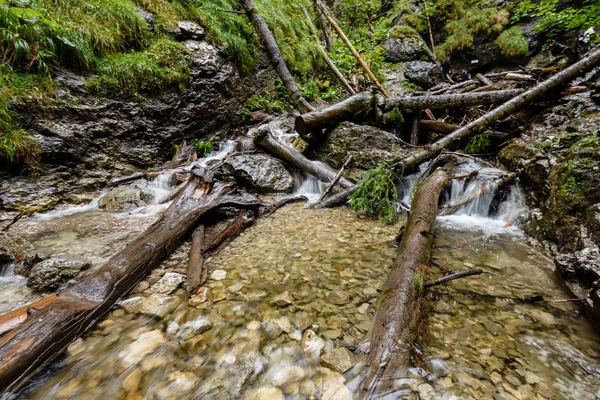 Yaz aylarında nehir dağ. slovensky raj. Sanki bela iz — Stok fotoğraf