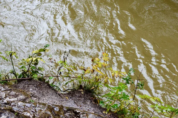 Nyáron hegyi folyó. Slovensky raj. Sucha bela trail — Stock Fotó