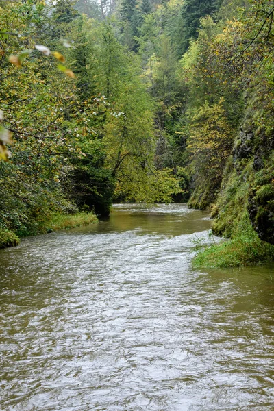 Mountain river in summer. slovensky raj. sucha bela trail — Stock Photo, Image