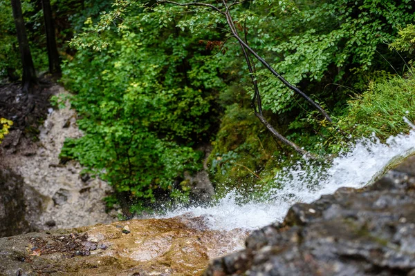 Horská řeka v létě. slovensky raj. suchá bela stezka — Stock fotografie