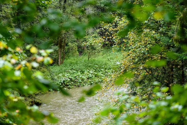 Mountain river i sommar. Slovensky raj. Sucha bela trail — Stockfoto