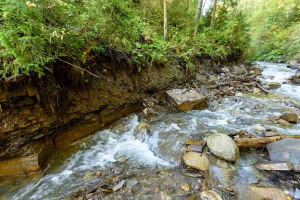 Bergfluss im Sommer. Bialka Fluss, Polen — Stockfoto