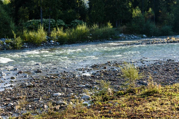 Nyáron hegyi folyó. Białka folyó, Lengyelország — Stock Fotó