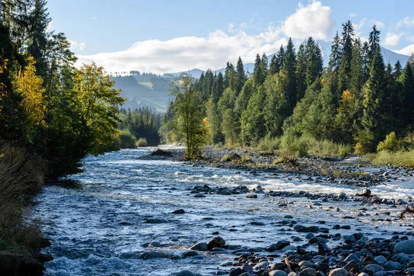 Bergfluss im Sommer. Bialka Fluss, Polen — Stockfoto