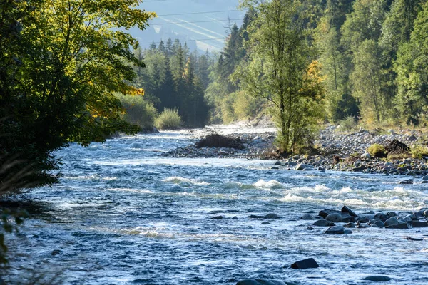 Fiume di montagna in estate. Fiume Bialka, Polonia — Foto Stock