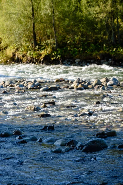 Mountain river i sommar. Bialka floden, Polen — Stockfoto