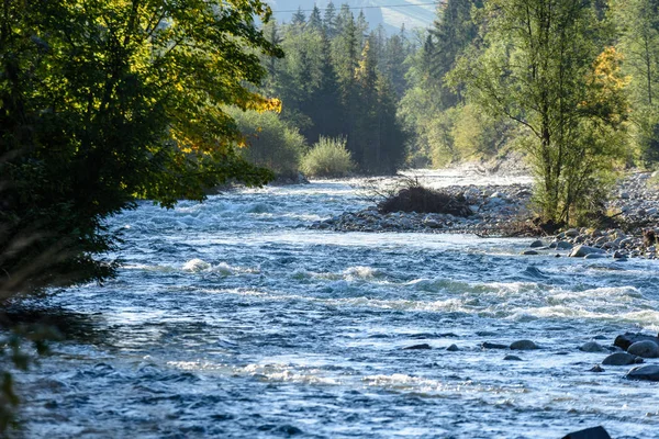 Horská řeka v létě. Bialka řeka, Polsko — Stock fotografie
