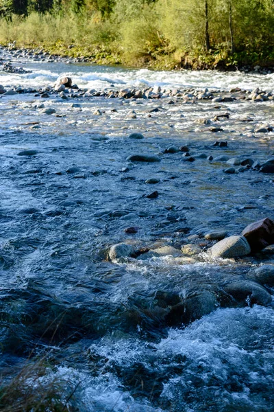 Bergfluss im Sommer. Bialka Fluss, Polen — Stockfoto