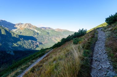 Slovakça Karpat Dağları Güz. Hiking trail üstüne