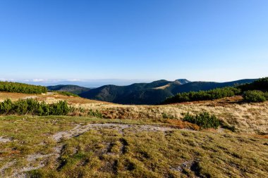 Slovakça Karpat Dağları Güz. güneşli tepe üstleri toplam