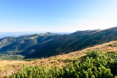 Slovakça Karpat Dağları Güz. güneşli tepe üstleri toplam