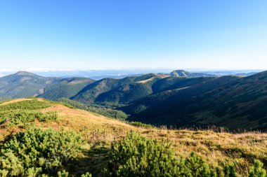 Slovakça Karpat Dağları Güz. güneşli tepe üstleri toplam