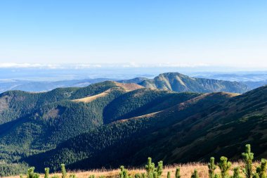 Slovakça Karpat Dağları Güz. güneşli tepe üstleri toplam