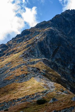 Slovakça Karpat Dağları Güz. duvarlarda taş dokular