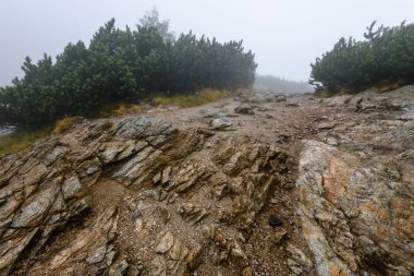 Slovakça Karpat Dağları Güz. duvarlarda taş dokular