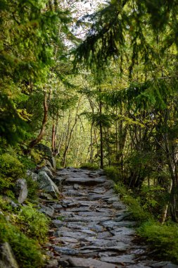 doğal ve güzel turizm iz park Slovensky raj, Sl içinde