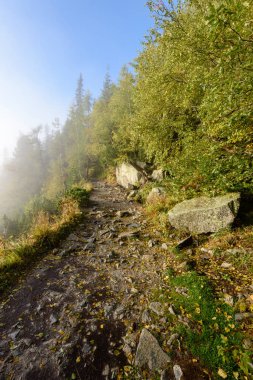 doğal ve güzel turizm iz park Slovensky raj, Sl içinde