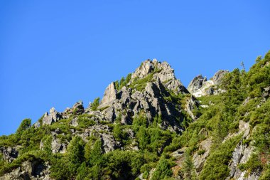 Slovakça Karpat Dağları Güz. üstleri ile yeşil tepeler 