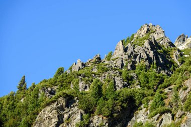 Slovakça Karpat Dağları Güz. üstleri ile yeşil tepeler 