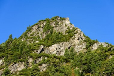 Slovakça Karpat Dağları Güz. üstleri ile yeşil tepeler 