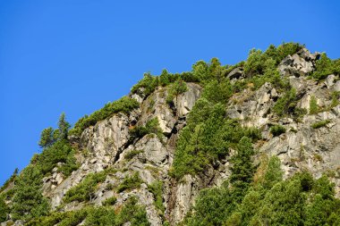 Slovakça Karpat Dağları Güz. üstleri ile yeşil tepeler 