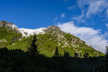Slovakça Karpat Dağları Güz. üstleri ile yeşil tepeler 