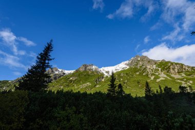 Slovakça Karpat Dağları Güz. üstleri ile yeşil tepeler 