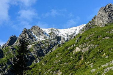 Slovakça Karpat Dağları Güz. üstleri ile yeşil tepeler 